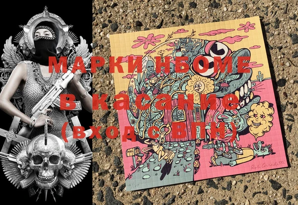 индика Алзамай