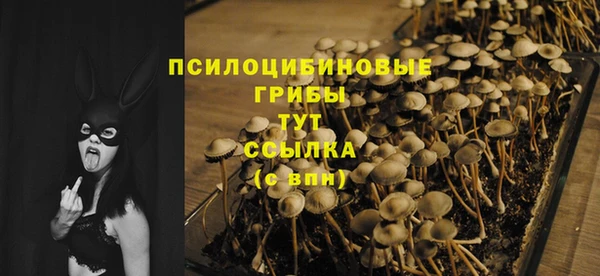 индика Алзамай