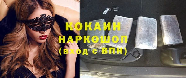 индика Алзамай